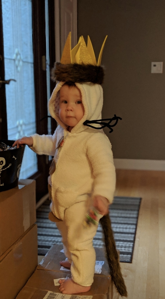 Max costume Where the Wild Things are